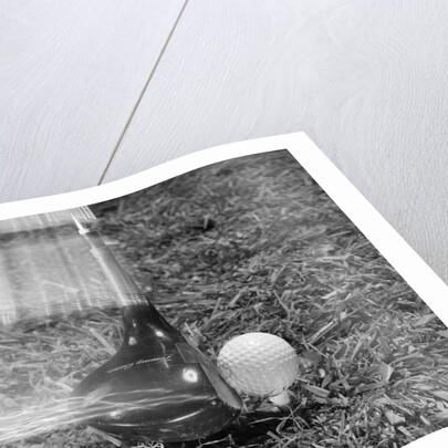 1960s Moving Driver Golf Club Hitting Ball On Tee In Grass by Anonymous