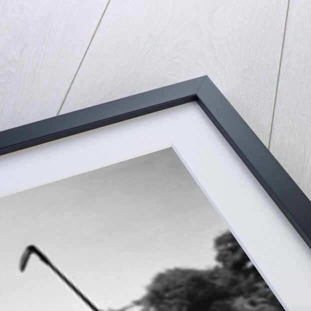 1960s Man Playing Golf Hitting Golf Ball From Fairway With Iron Club by Anonymous