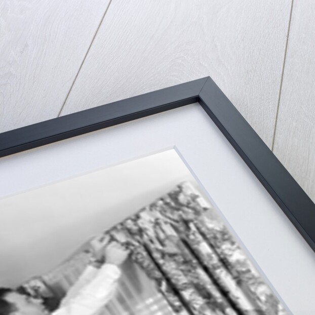 1950s Skeptical Wife In Apron Fingers Pressing Chin Watching Husband On Ladder Hanging New Jungle Motif Drapes In Living Room by Anonymous