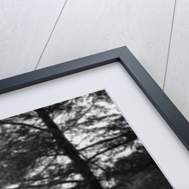 1930s Man Standing On Rock Lakeside Holding Reins Of Two Horses With Woman Seated Beside Looking Off To Side by Anonymous