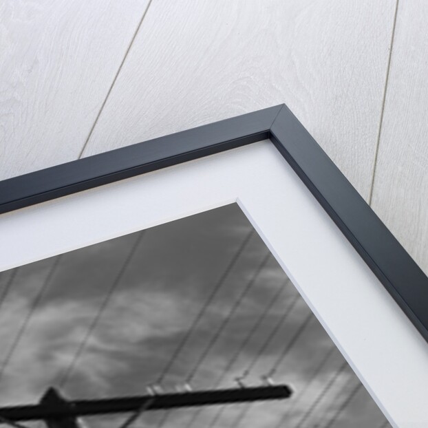 1940s Cat Sitting On A Power Line Telephone Pole Stranded Alone Outdoor by Anonymous