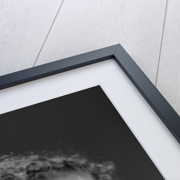 1940s Curly Haired Little Boy Portrait Smiling Looking At Camera by Anonymous