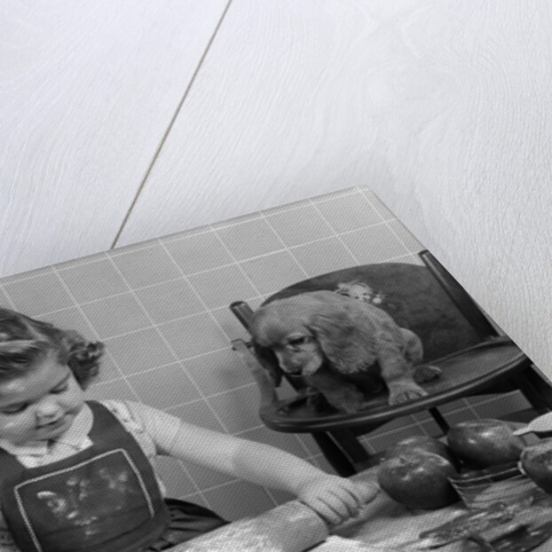 1950s Little Girl Rolling Out Apple Pie Crust On Kitchen Table With Cocker Spaniel Puppy Watching by Anonymous
