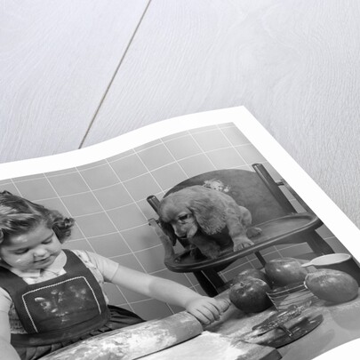 1950s Little Girl Rolling Out Apple Pie Crust On Kitchen Table With Cocker Spaniel Puppy Watching by Anonymous