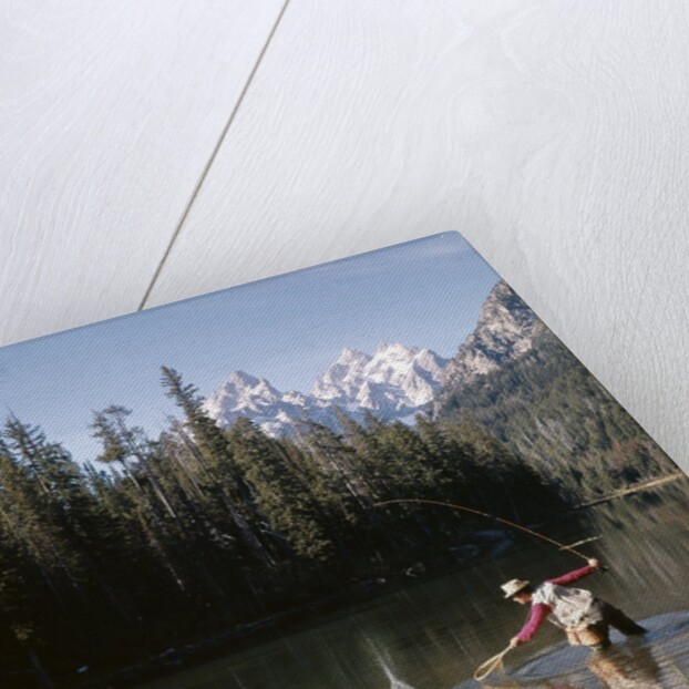 1970s Man Fisherman Red Shirt In Rocky Mountains Stream Lake Fly Rod Catch Splashing On Line Net by Anonymous