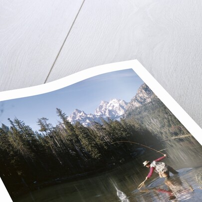 1970s Man Fisherman Red Shirt In Rocky Mountains Stream Lake Fly Rod Catch Splashing On Line Net by Anonymous