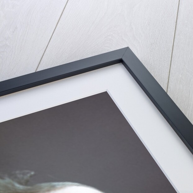 1940s 1950s Portrait Baby Head Shoulders Looking Up by Anonymous