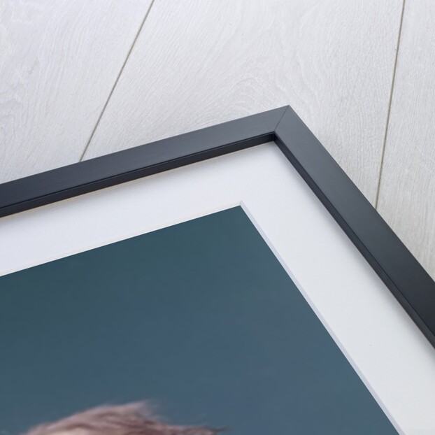 1960s Funny Baby Wearing Oversized Glasses Reading Big Book by Anonymous