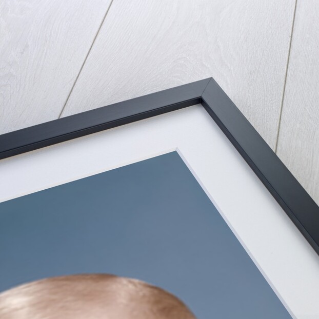 1960s Portrait Of Cute Blond Chubby Baby Looking At Camera Sticking Out Tongue by Anonymous