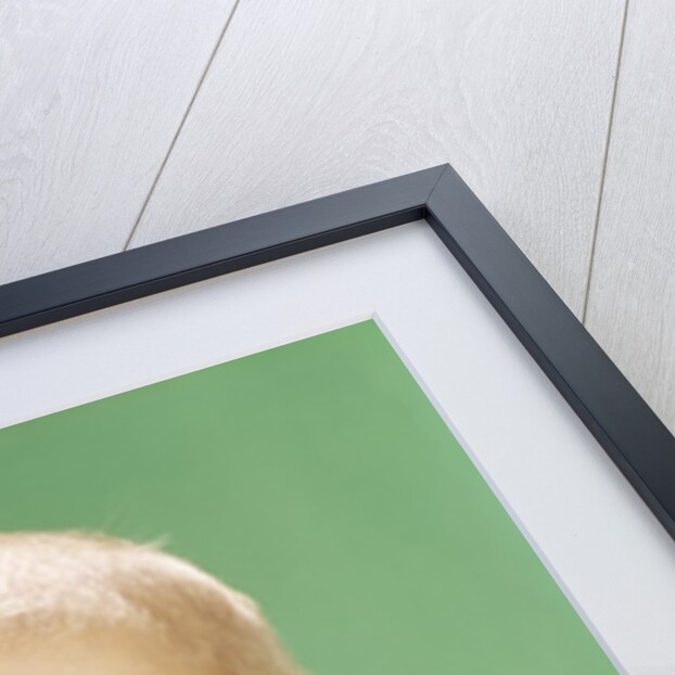 1960s Smiling Happy Baby Looking Off To The Side With Hand Touching Face by Anonymous