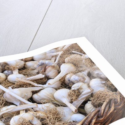 Garlic for sale by Anonymous
