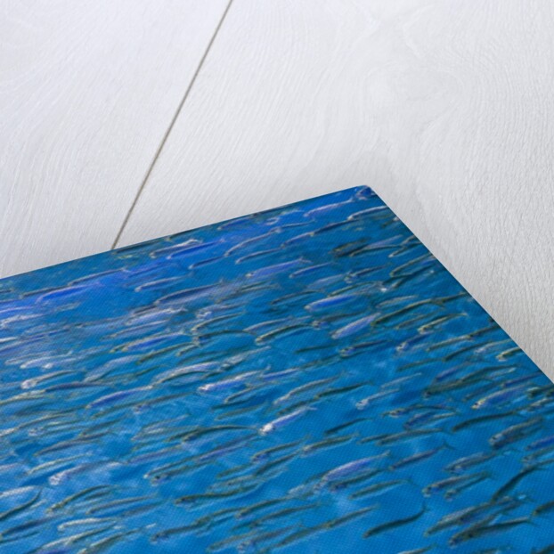 A school of fish by Anonymous