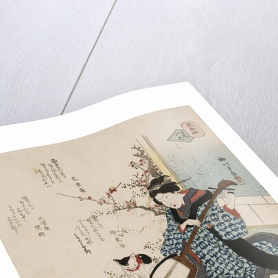 Te-ike no hana 'Hand-picked flower' by Yanagawa Shigenobu II