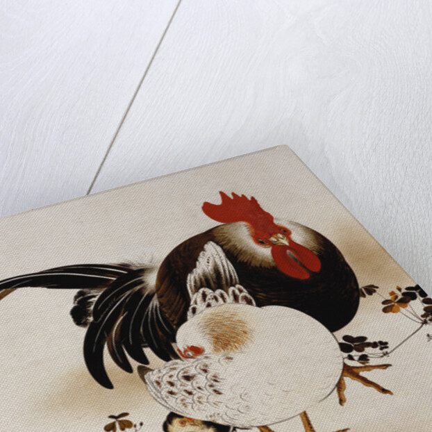Cockerel, Hen and Chicks by Shibata Zeshin