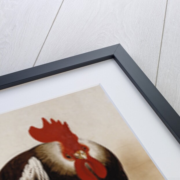 Cockerel, Hen and Chicks by Shibata Zeshin