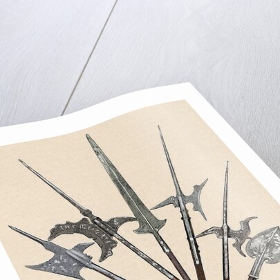 Weapons. Halberds and spearhead. Colored engraving by Anonymous