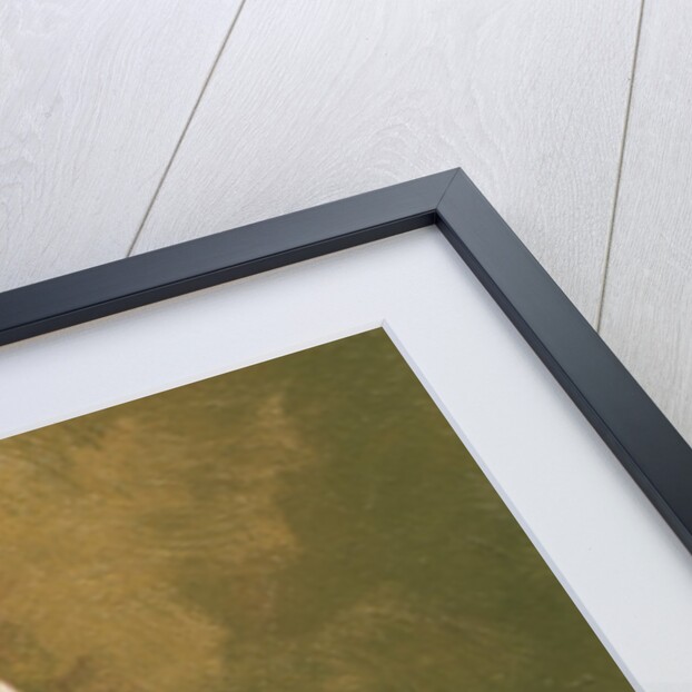 Ernest Rutherford (Nelson, New Zealand ,1871-Cambridge, 1937). English physicist by Anonymous