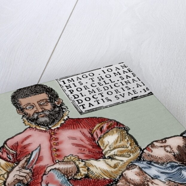John Thomas Porcell (1528-ca.1580). Spanish doctor by Anonymous