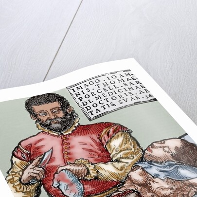 John Thomas Porcell (1528-ca.1580). Spanish doctor by Anonymous