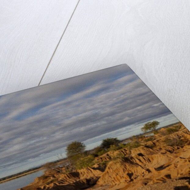 Banks Along Zambezi River by Anonymous