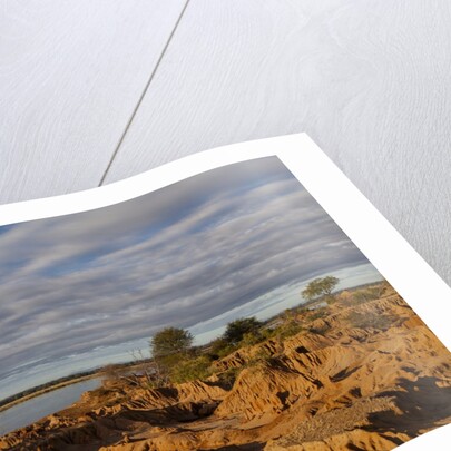 Banks Along Zambezi River by Anonymous
