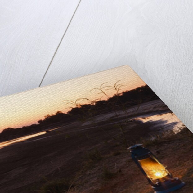 South Luwangua National Park at Dusk by Anonymous