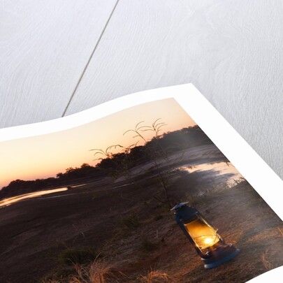 South Luwangua National Park at Dusk by Anonymous