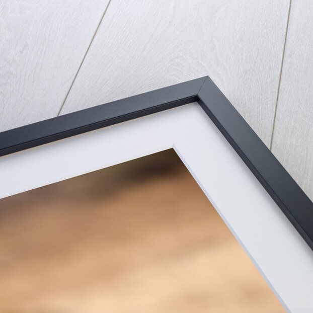 Crawshay's zebra by Anonymous