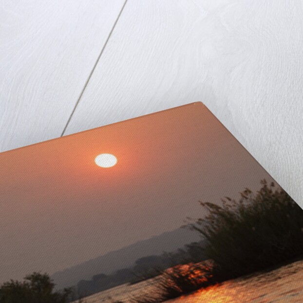 Kafue River at Dawn by Anonymous