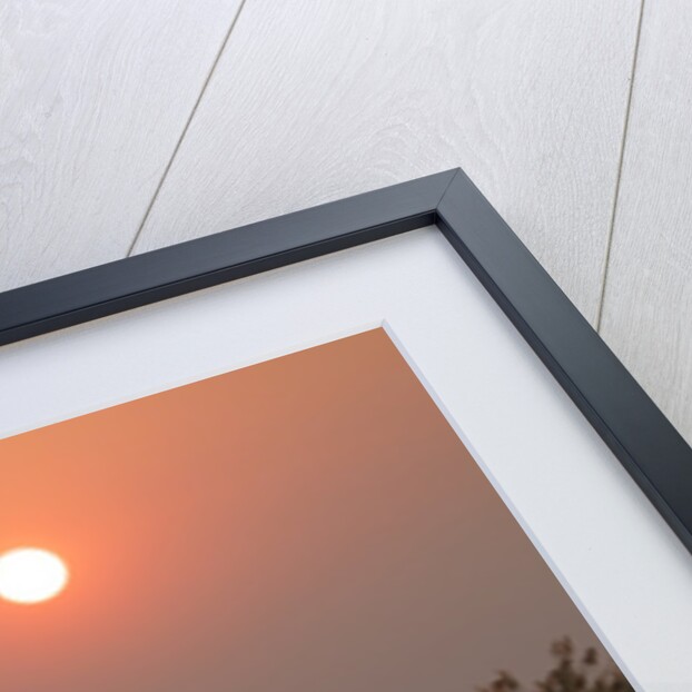 Kafue River at Dawn by Anonymous