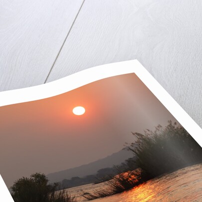 Kafue River at Dawn by Anonymous