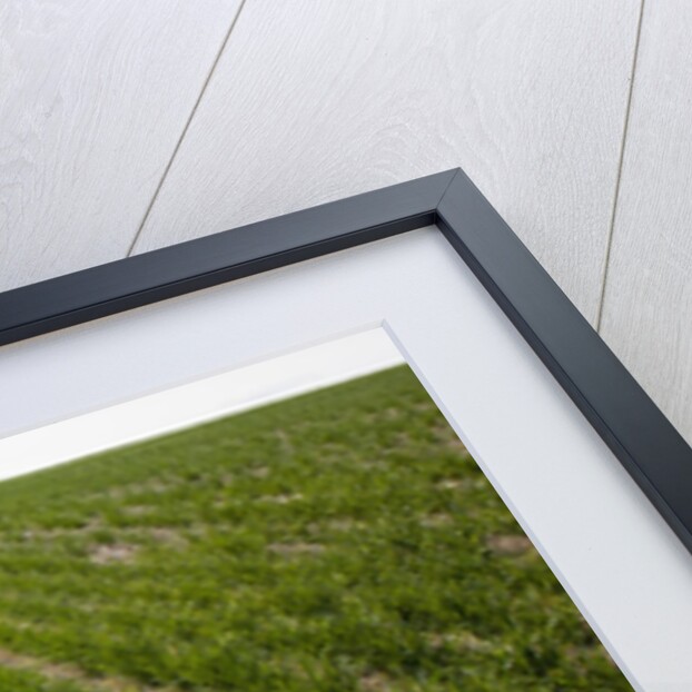 Winter Wheat, Waterville, Washington by Anonymous