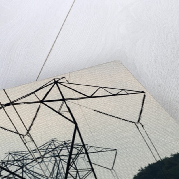 Power Lines, Mount Storm, West Virginia by Anonymous