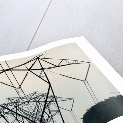 Power Lines, Mount Storm, West Virginia by Anonymous