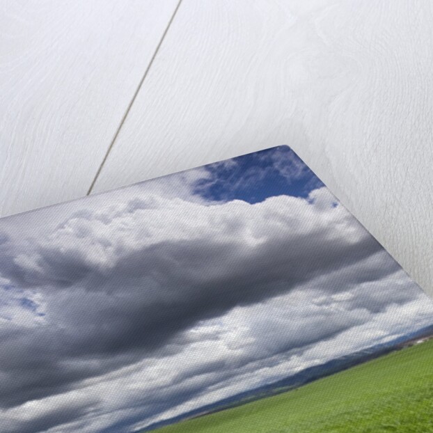 Spring Wheat Field, Walla Walla, Washington by Anonymous