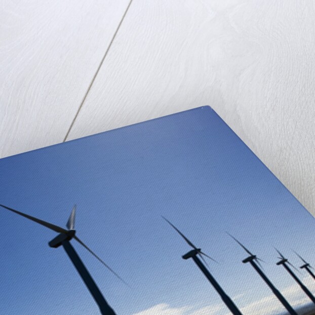 Windmills, Wallula, Washington by Anonymous
