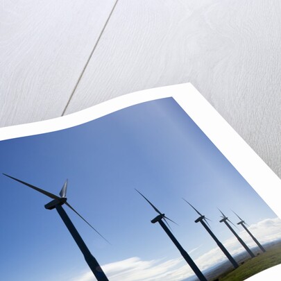 Windmills, Wallula, Washington by Anonymous