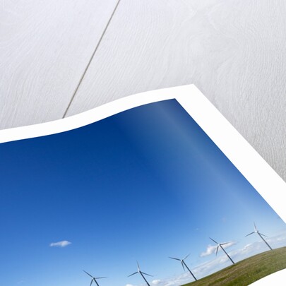 Windmills, Wallula, Washington by Anonymous