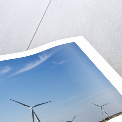 Wind Farm, Vega, Texas by Anonymous