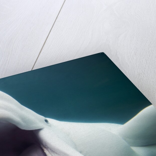 Beluga Whale, Mystic Aquarium, Connecticut by Anonymous