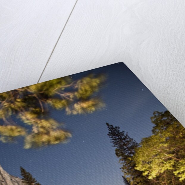 Yosemite National Park, California by Anonymous