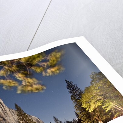 Yosemite National Park, California by Anonymous