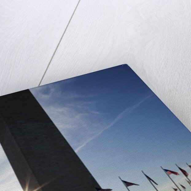 Washington Monument, Washington, DC by Anonymous