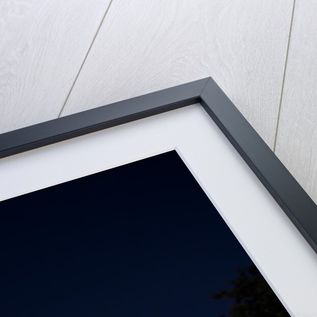 Capitol Building, Tallahassee by Anonymous