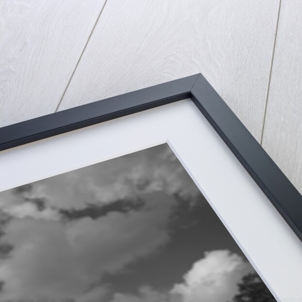 Abandoned Store, Riceboro, Georgia by Anonymous