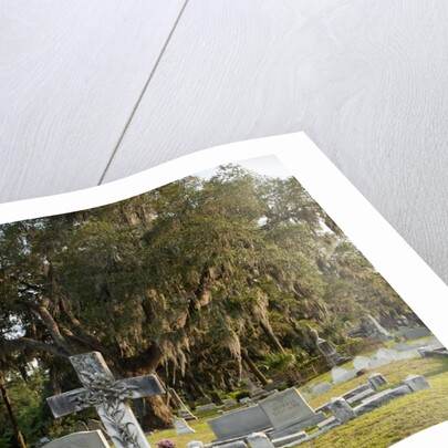 Bonaventure Cemetery, Savanna, Georgia by Anonymous