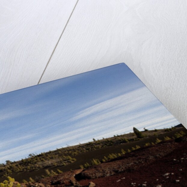 Volcanic Lava Fields, Craters of the Moon National Monument, Idaho by Anonymous