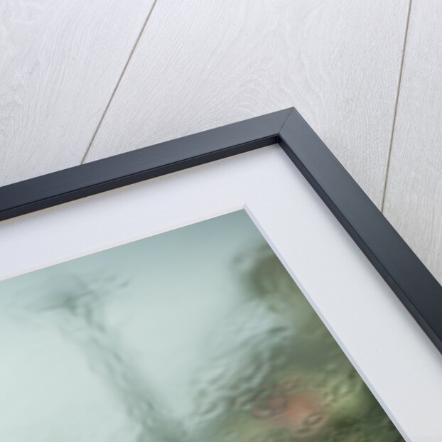 Thunderstorm, New Orleans, Louisiana by Anonymous