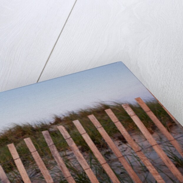 Fence in Sand Dunes, Cape Cod, Massachusetts by Anonymous