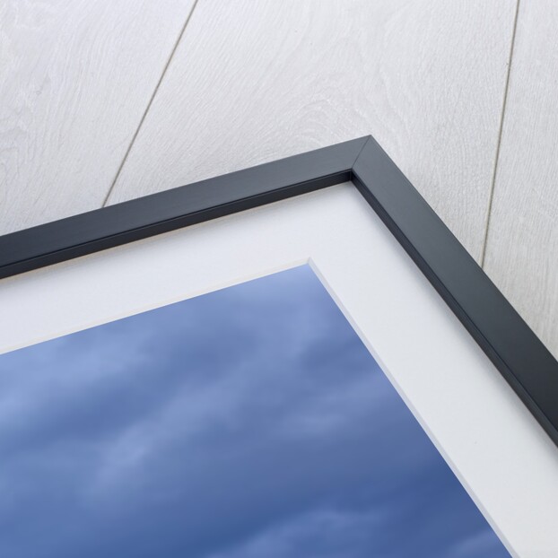 Lake Michigan by Anonymous